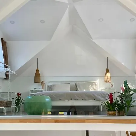 Nubu House Villa Sapanca